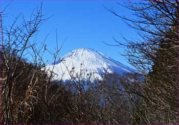 富士山