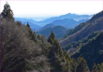 峠から武蔵野