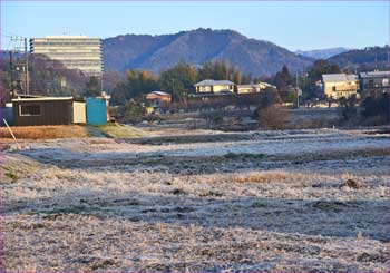 大井の田園