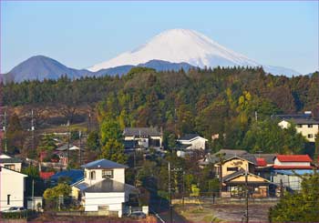 大井富士