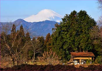 富士山