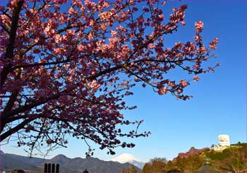 松田山墓地