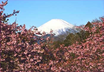 富士山