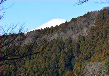 富士が 