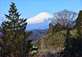 富士山