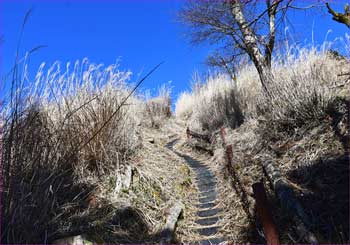 高松山頂へ