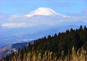 富士山