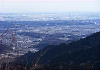 東京大展望