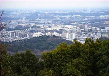 東京展望