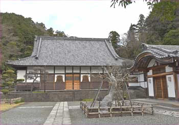 海宝院