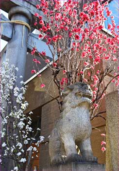 鳥居の狛犬