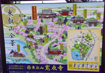 寛永寺案内図