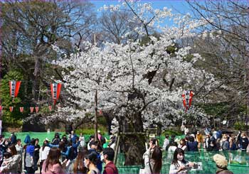 上野公園