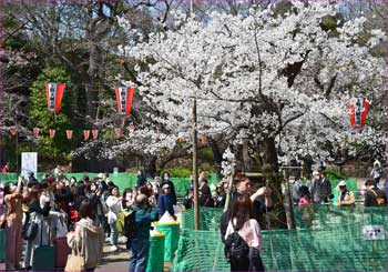 上野公園