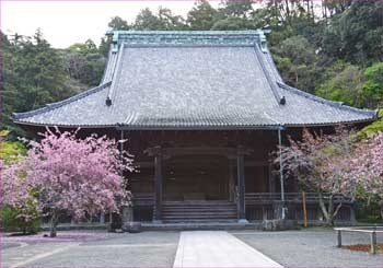 妙本寺