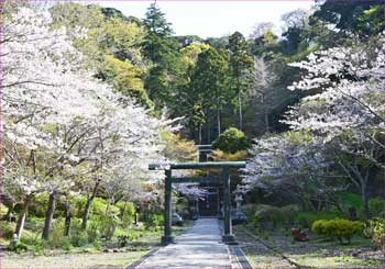 半僧坊への鳥居