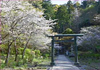 半僧坊の鳥居