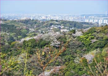 横浜展望