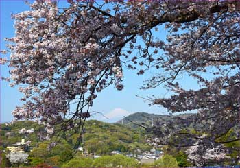 富士山