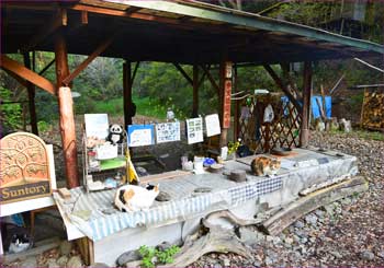 猫屋敷