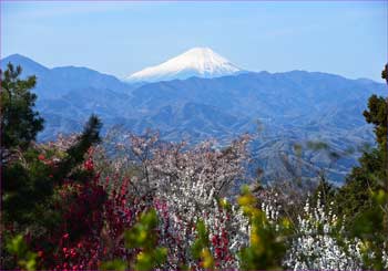 富士山