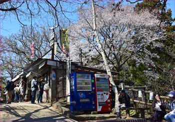 高尾山頂茶屋