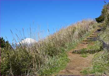 大野山へ