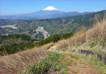 富士山