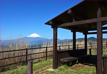 東屋