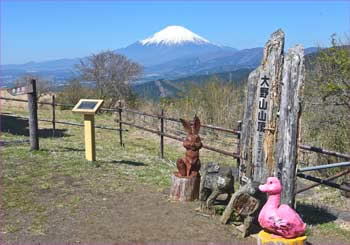 大野山山頂