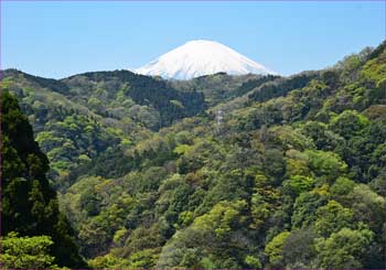 富士山