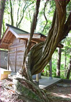 大山祇神社