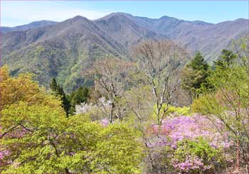 三峰神社より