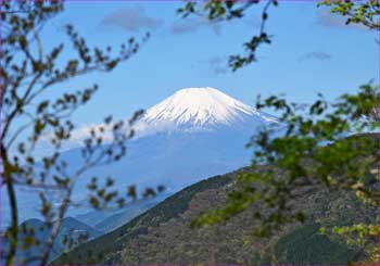 尾根の富士