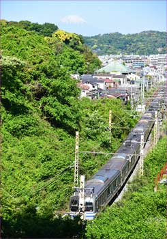 横須賀線