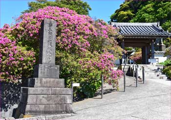 安養院