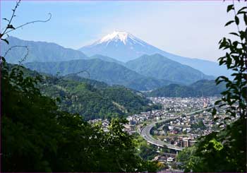 尾根途中の富士