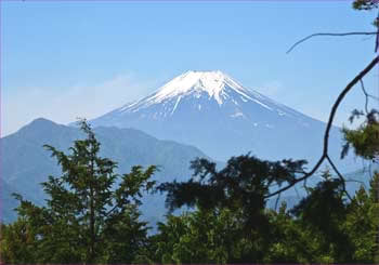 富士山