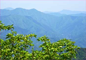 雲取山遠望