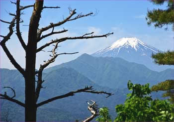 富士山