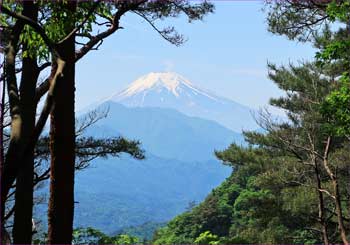 尾根途中の富士