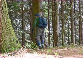 老登山者