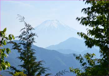 高畑山の富士