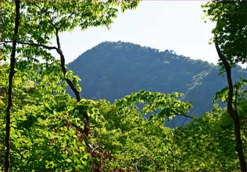 倉岳山望む