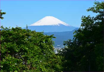 富士山