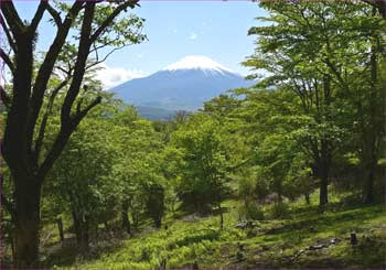 富士山