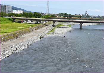 酒匂川