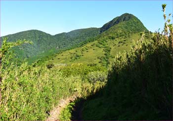 峠から