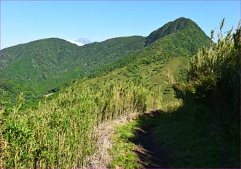 金時山