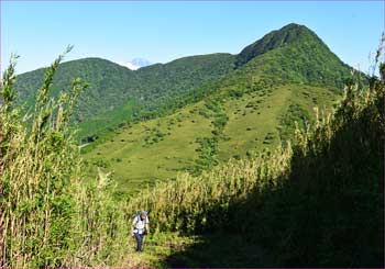 金時山